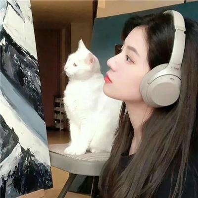 矢在弦上第一季